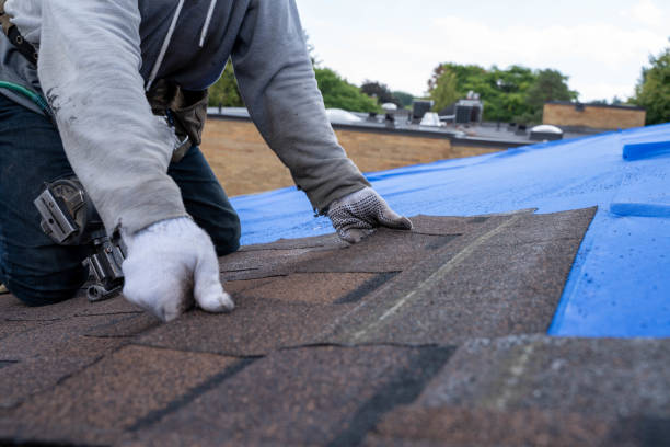 Best Residential Roofing Contractor  in Spring Lake, MI