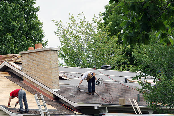Best Roof Maintenance Services  in Spring Lake, MI
